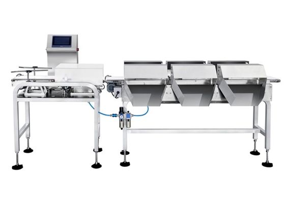مقیاس Checkweigher 100P / M
